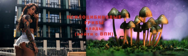 прущие крисы Волосово