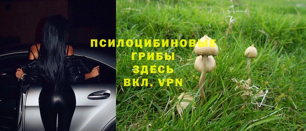 MDMA Premium VHQ Верхний Тагил